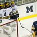 The Michigan team celebrates after scoring a goal against Windsor on Tuesday. The Wolverines won 7-3. Daniel Brenner I AnnArbor.com